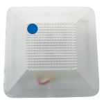 UTKRO504NLB - Spia led lampeggiante 12/24v, IP65, 58x58x20, colore blu